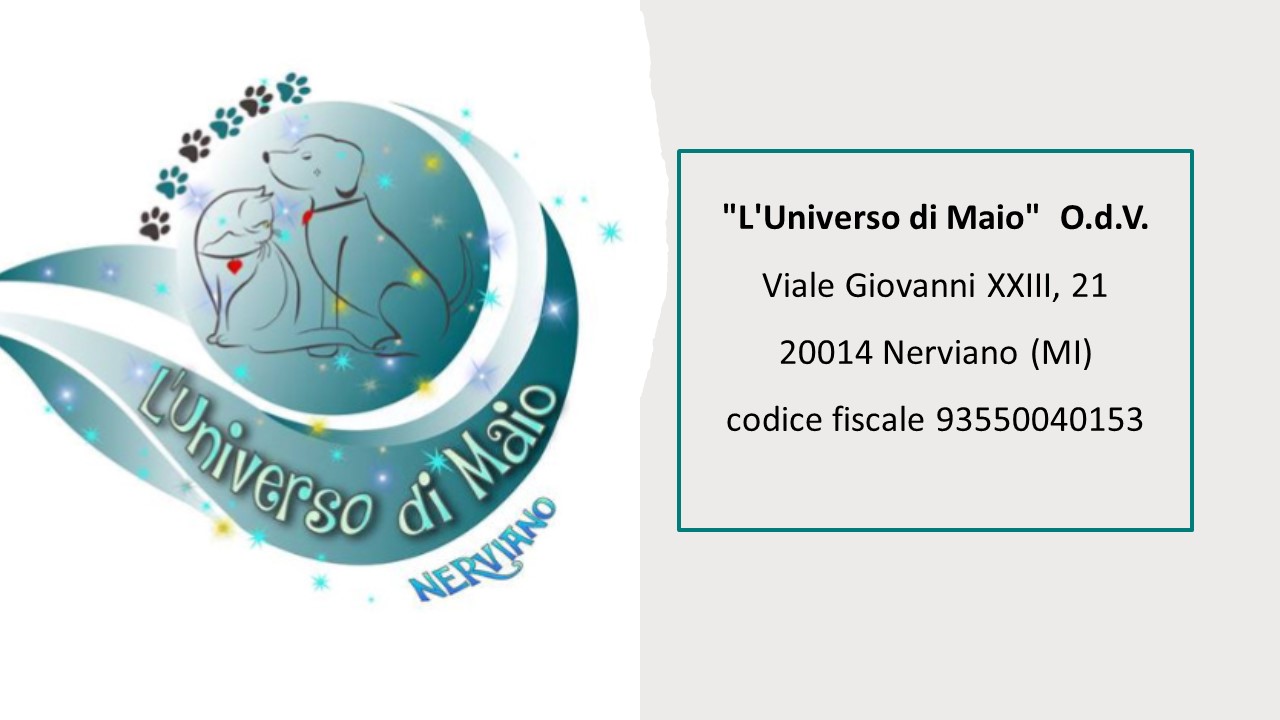 Universo_di_Maio