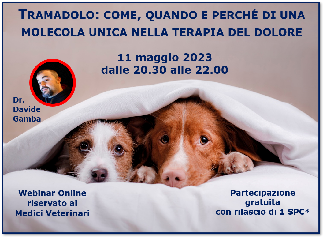 immagine webinar 